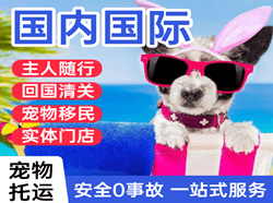 天府航空快递国际宠物托运 【国